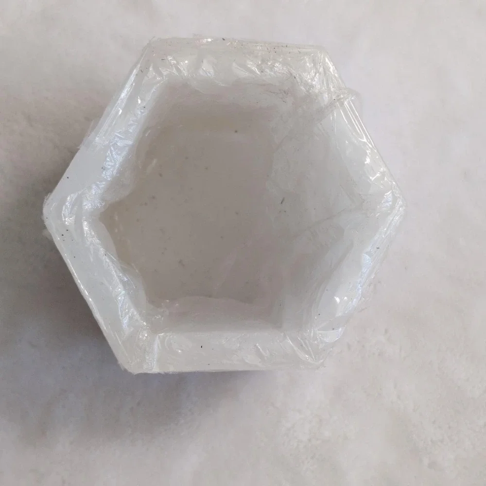 New Pressed Flower Wax Candle Luminary Votive Holder Hexagon Botanic Cottagecore